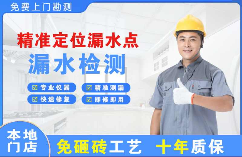 卧龙精准测漏点